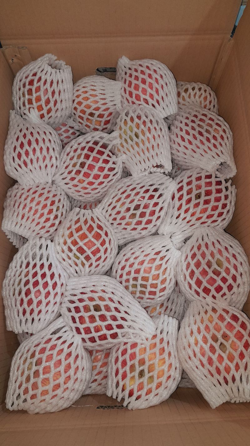 이윤동님의 장터 판매 상품 [새콤달콤 아삭 찐한맛 주스용10k17000원] 첨부 사진