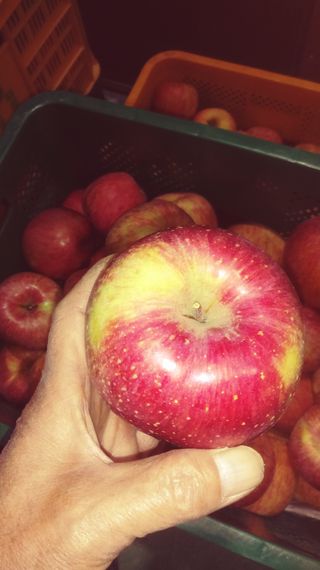 이윤동님의 작성글 사진