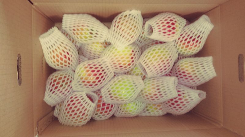 이윤동님의 장터 판매 상품 [주말특가 새콤달콤 아삭아삭 부사 주스용10k] 첨부 사진