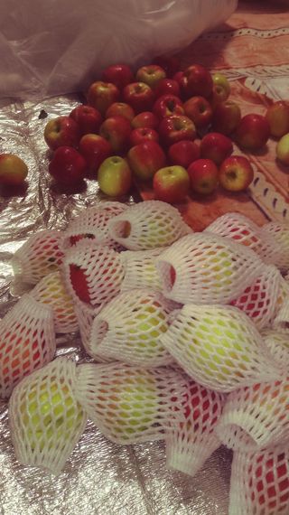 이윤동님의 작성글 사진