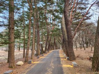 홍촌님의 기타작물 · 병해충상담 작성글 사진