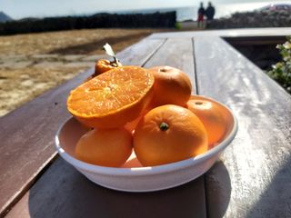 강창민님의 작성글 사진