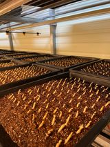 팜모닝 · 게시글 이미지