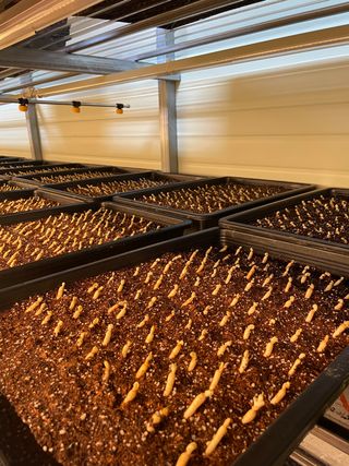 알 수 없음님의 작성글 사진