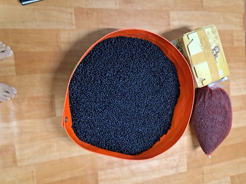 장터 상품 [서 리 태(청자5호)] 썸네일