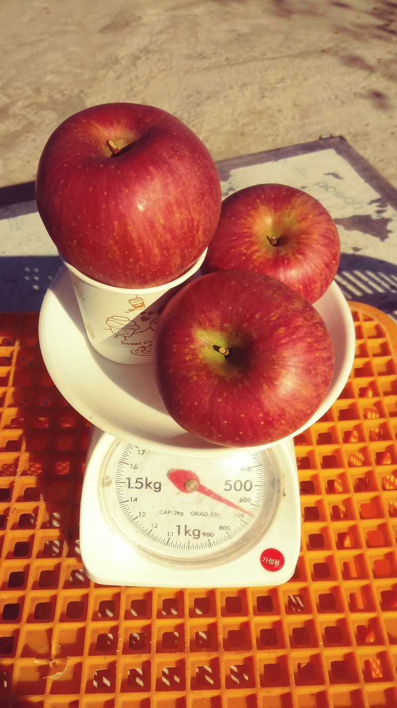 이윤동님의 장터 판매 상품 [새콤달콤 아삭 찐한맛(부사)주스용.                                 10kg ] 첨부 사진