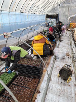 쌈자님의 고추 · 파종•정식 작성글 사진