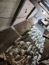 팜모닝 감자·자유게시판 게시글 이미지