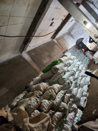 팜모닝회원 바이크농원님의 감자 · 자유게시판 작성글 사진