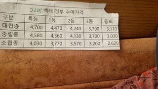 종대님의 콩 · 자유게시판 작성글 사진