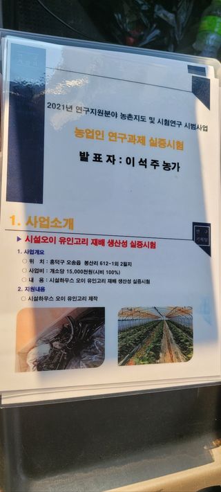 백승현님의 오이 · 자유게시판 작성글 사진