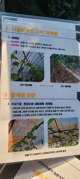 백승현님의 오이 · 자유게시판 작성글 사진