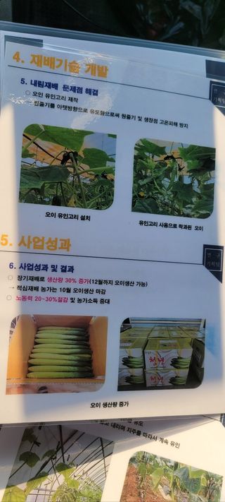 백승현님의 오이 · 자유게시판 작성글 사진