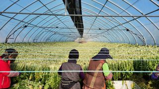 영도팜님의 작성글 사진