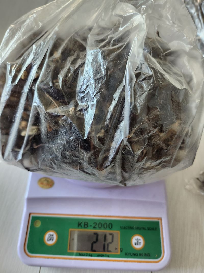 장터 상품 [건고사리200그램씩] 썸네일