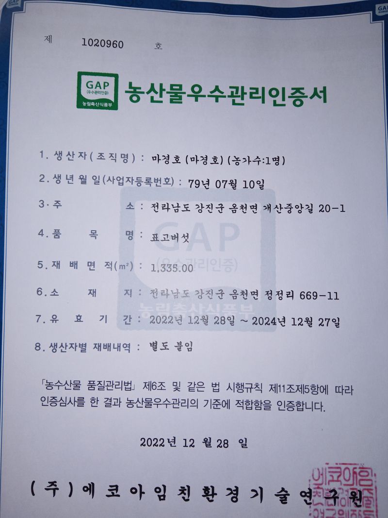 장터 상품 [GAP인증 국내산 표고버섯 1Kg , 건표고 200g] 썸네일