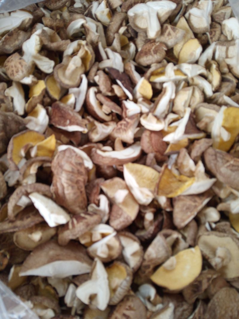 버섯표고님의 장터 판매 상품 [GAP인증 국내산 표고버섯 1Kg , 건표고 200g] 첨부 사진