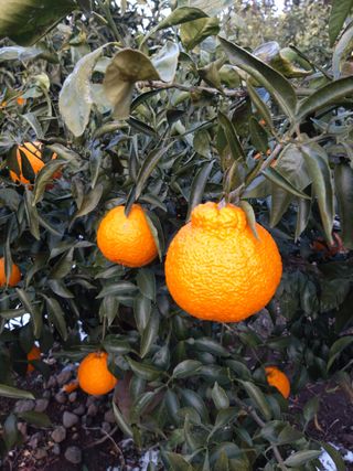 강창민님의 작성글 사진