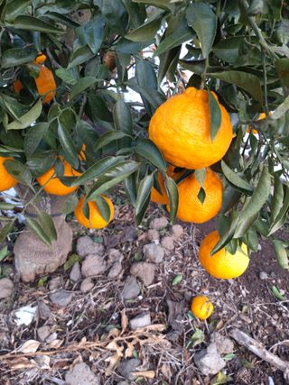 강창민님의 작성글 사진