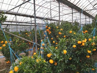 강창민님의 작성글 사진