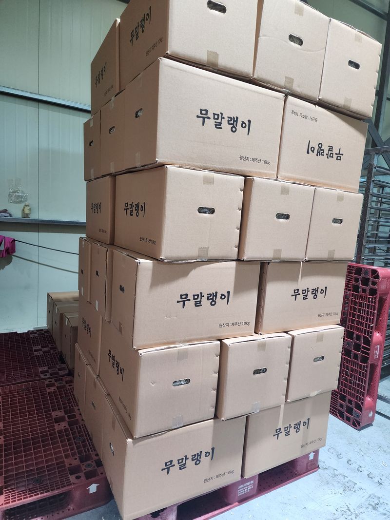 돌하루방농원(이미정님의 장터 판매 상품 [제주 월동무우 말랭이] 첨부 사진