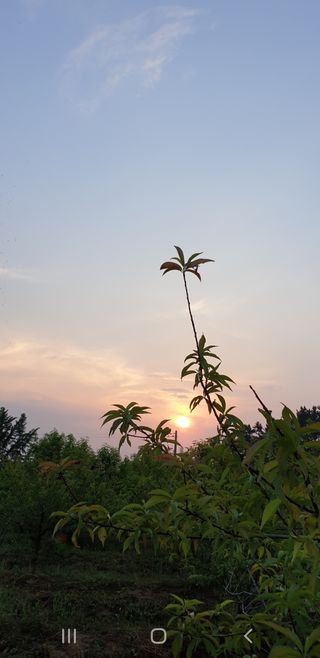 송하영님의 감자 · 자유게시판 작성글 사진