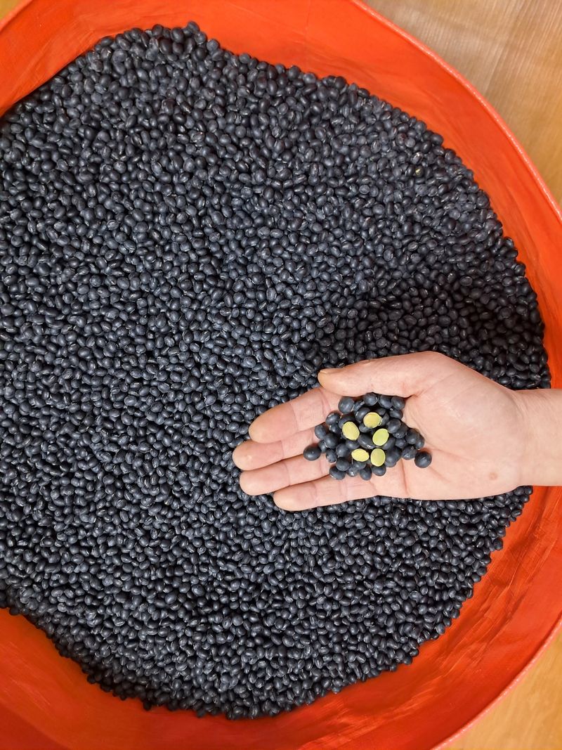 장터 상품 [서리태 (청자5호)] 썸네일