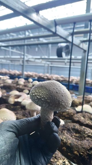 장성훈님의 작성글 사진