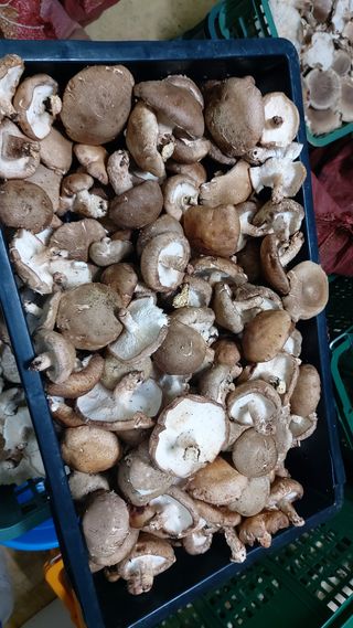 장성훈님의 작성글 사진