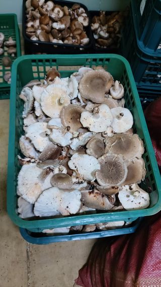 장성훈님의 작성글 사진