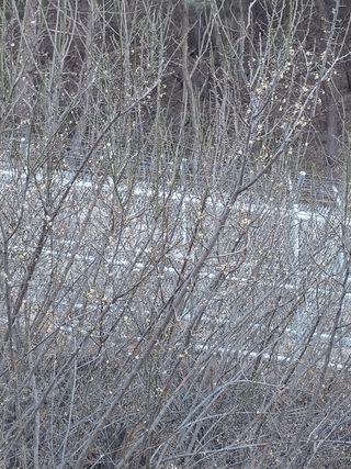 해안로님의 기타작물 · 자유게시판 작성글 사진