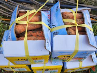 김태환님의 작성글 사진