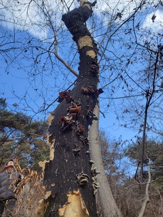 농사꾼 단비님의 기타작물 · 자유게시판 작성글 사진