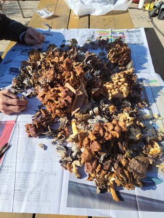 농사꾼 단비님의 기타작물 · 자유게시판 작성글 사진