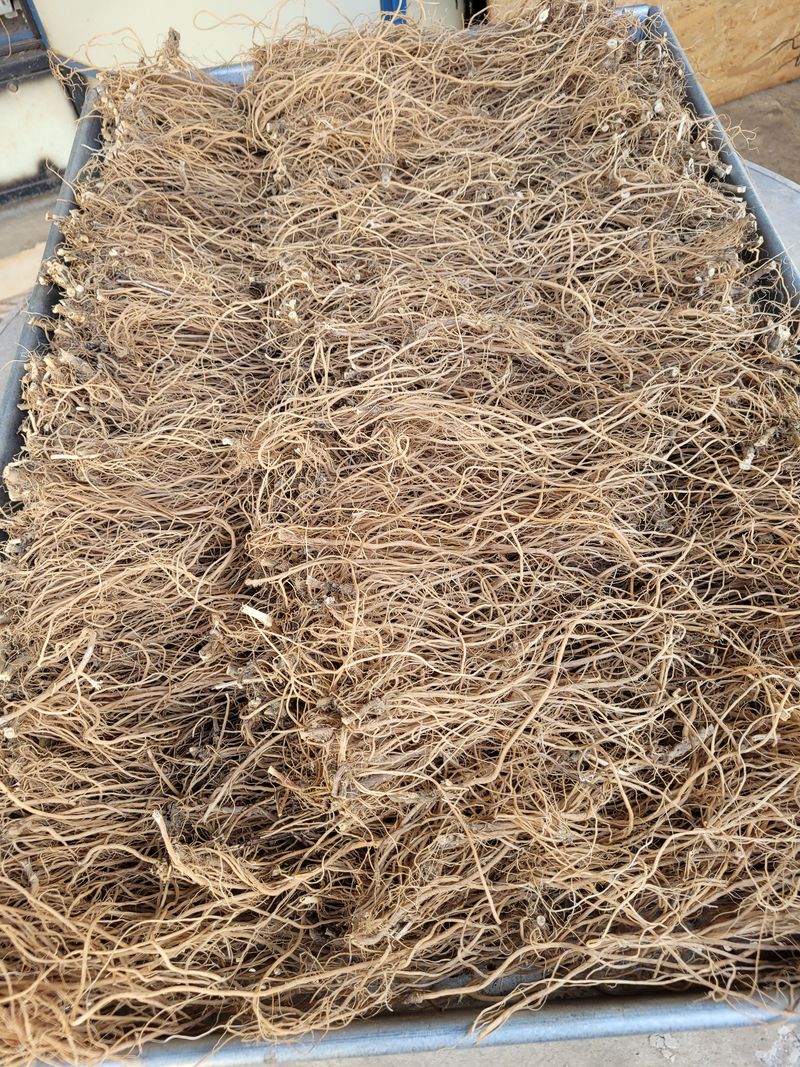 장터 상품 [우술600그람한근20000만원애판매하고 하고있어요 ] 썸네일