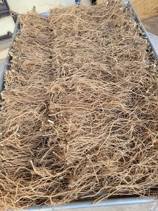 이름유순옥님의 작성글 사진