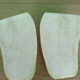 팜모닝 배추·병해충상담 게시글 이미지