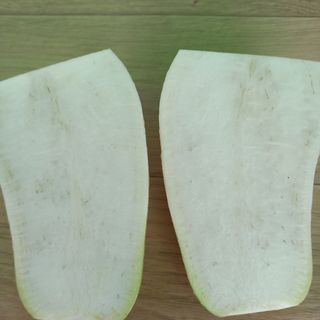 성실한일꾼님의 배추 · 병해충상담 작성글 사진