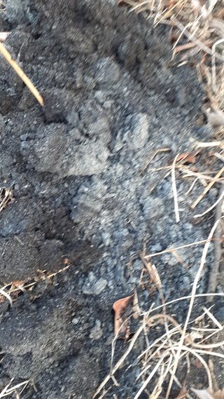 알 수 없음님의 감 · 자유게시판 작성글 사진