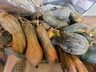 김세리님의 작성글 사진