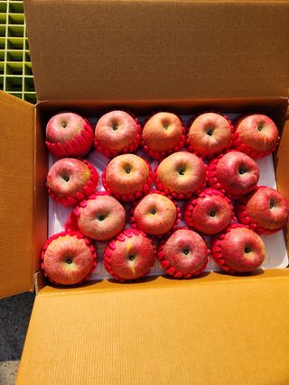 이원정님의 작성글 사진