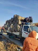 팜모닝 · 게시글 이미지