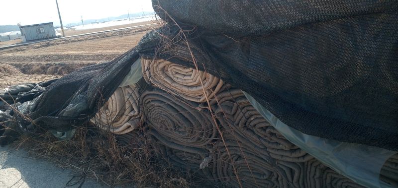 달콤한메론님의 장터 판매 상품 [하우스이불팝니다.100개정도 있습니다] 첨부 사진