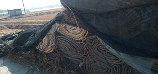 달콤한메론님의 작성글 사진