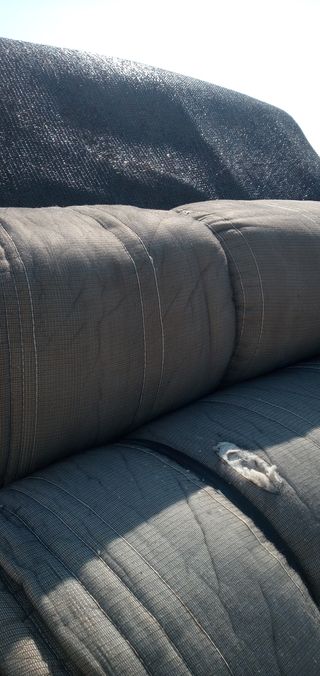 달콤한메론님의 작성글 사진