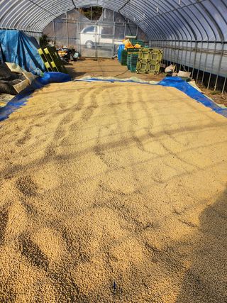 조일현님의 작성글 사진