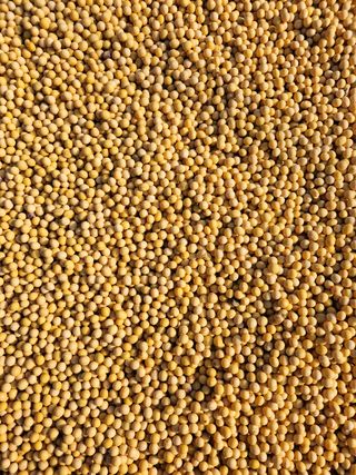 조일현님의 작성글 사진