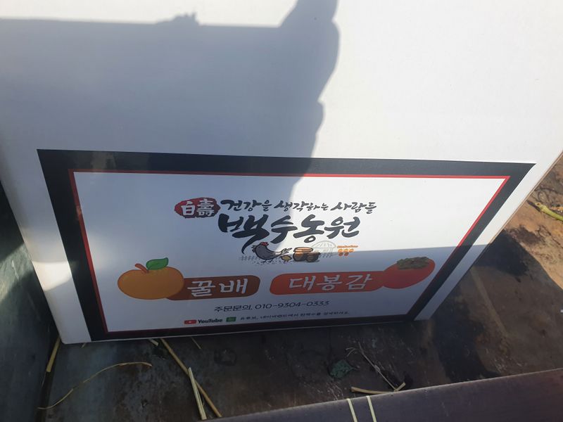 상주백수농원 님의 장터 판매 상품 [상주곶감(반건시) 5kg  내외] 첨부 사진