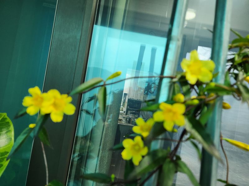 장터 상품 [햇 토종 호두 1키로 (판매완료)] 썸네일