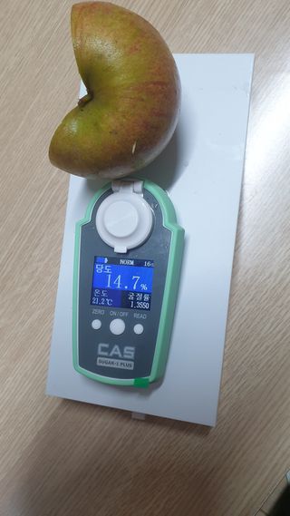 호랑이와인성이님의 사과 · 저장•가공 작성글 사진